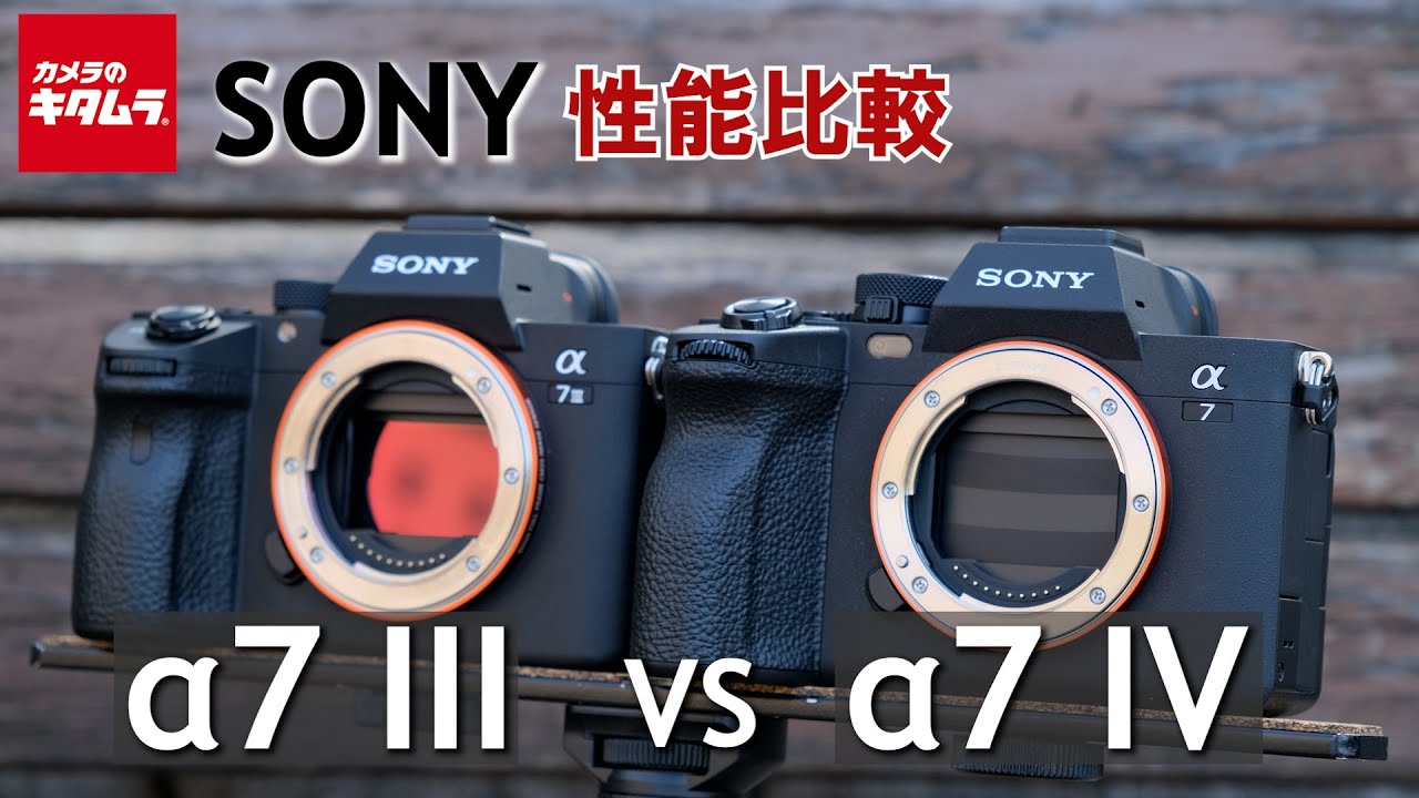 【カメラ比較】ソニー&alpha;7 IVと&alpha;7 IIIの違いを検証してみました！