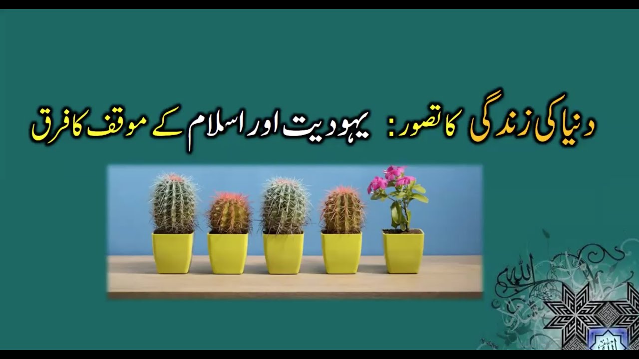 دنیا کی زندگی کا تصور: یہودیت اور اسلام کے موقف کا فرق [ڈاکٹر شعیب بدر]