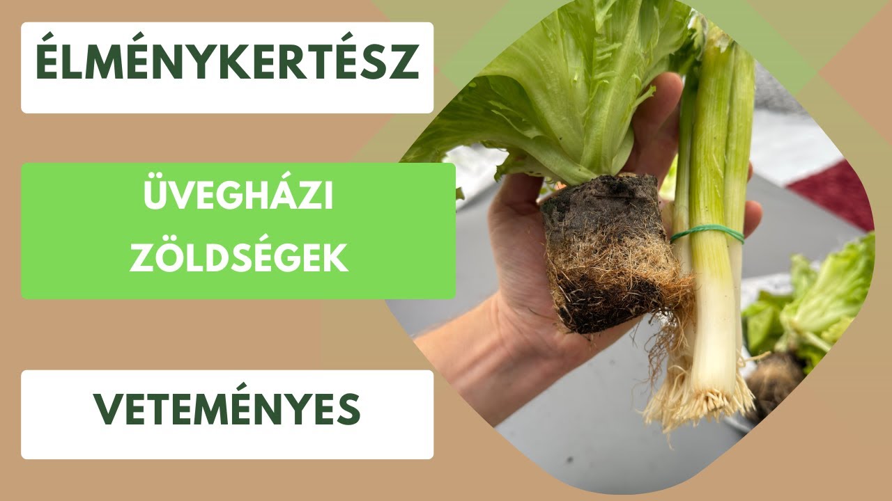 Kertészkedés télen és az üvegházi zöldségek🥬