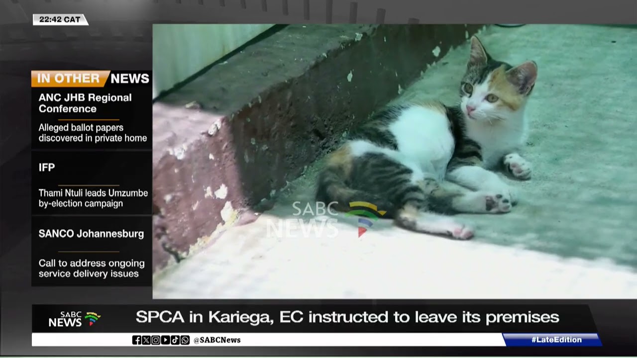 Nelson Mandela Bay instructs Kariega SPCA to leave its premises