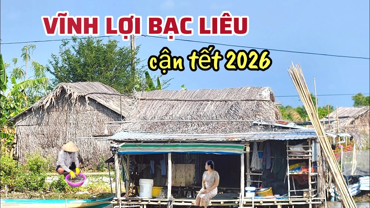 Mùa Cá Đồng, Mùa hu Hoạch Lúa, Vùng Quê Vĩnh Lợi Tất Bật Mùa Vụ Lúa Mới Cận Tết 2026
