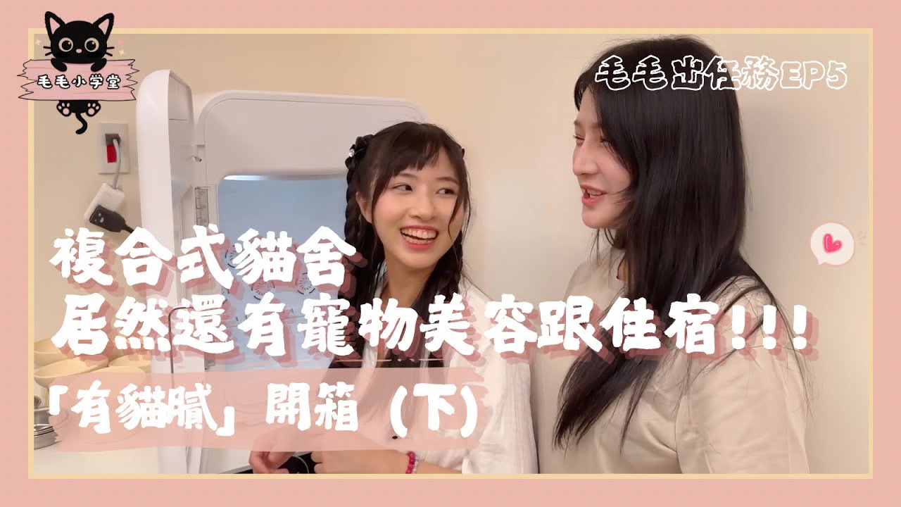 複合式貓舍，居然寵物美容跟住宿！|毛毛出任務EP5