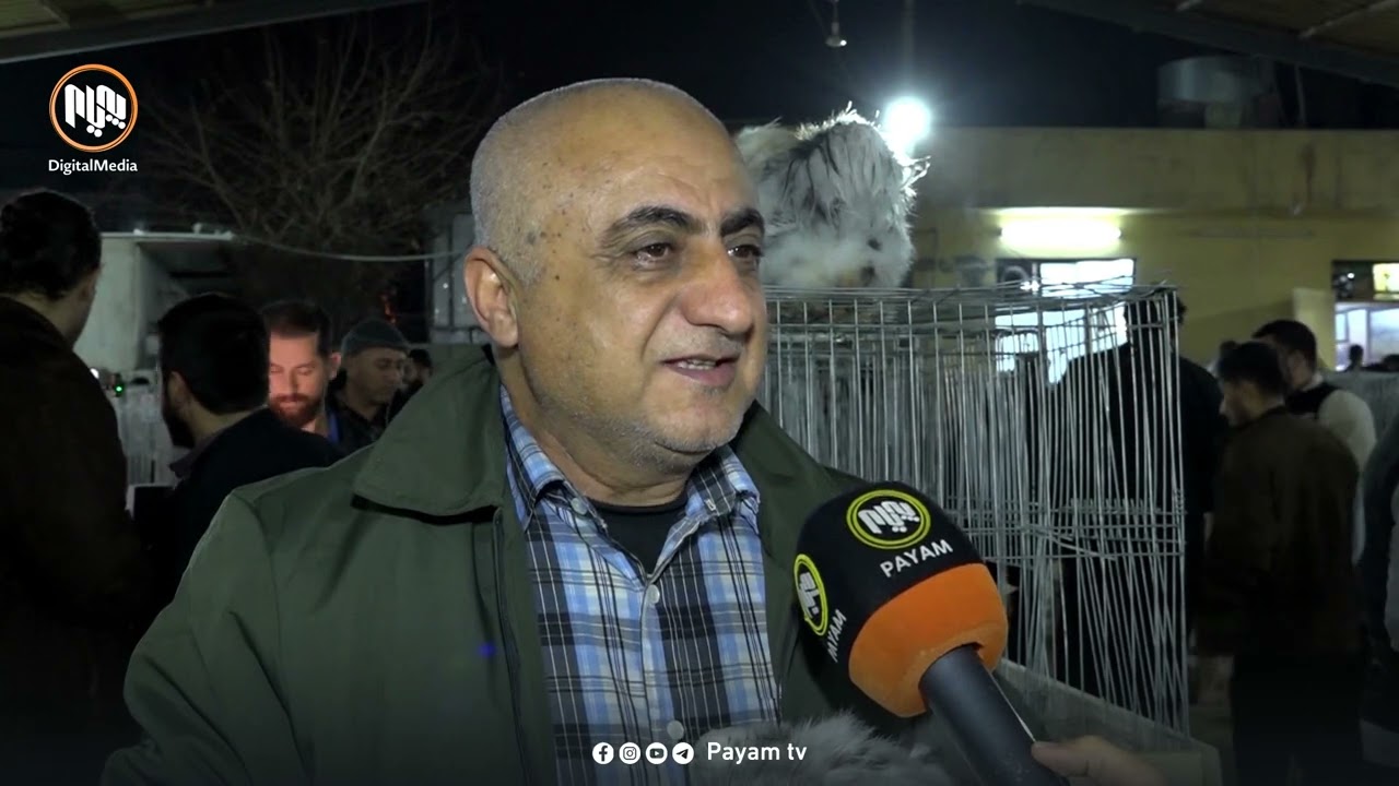 بەشێک لە هاوڵاتییان لەڕێى بەخێوكردنی پەلەوەرەوە خەمەکانی خۆیان دەڕەوێننەوە