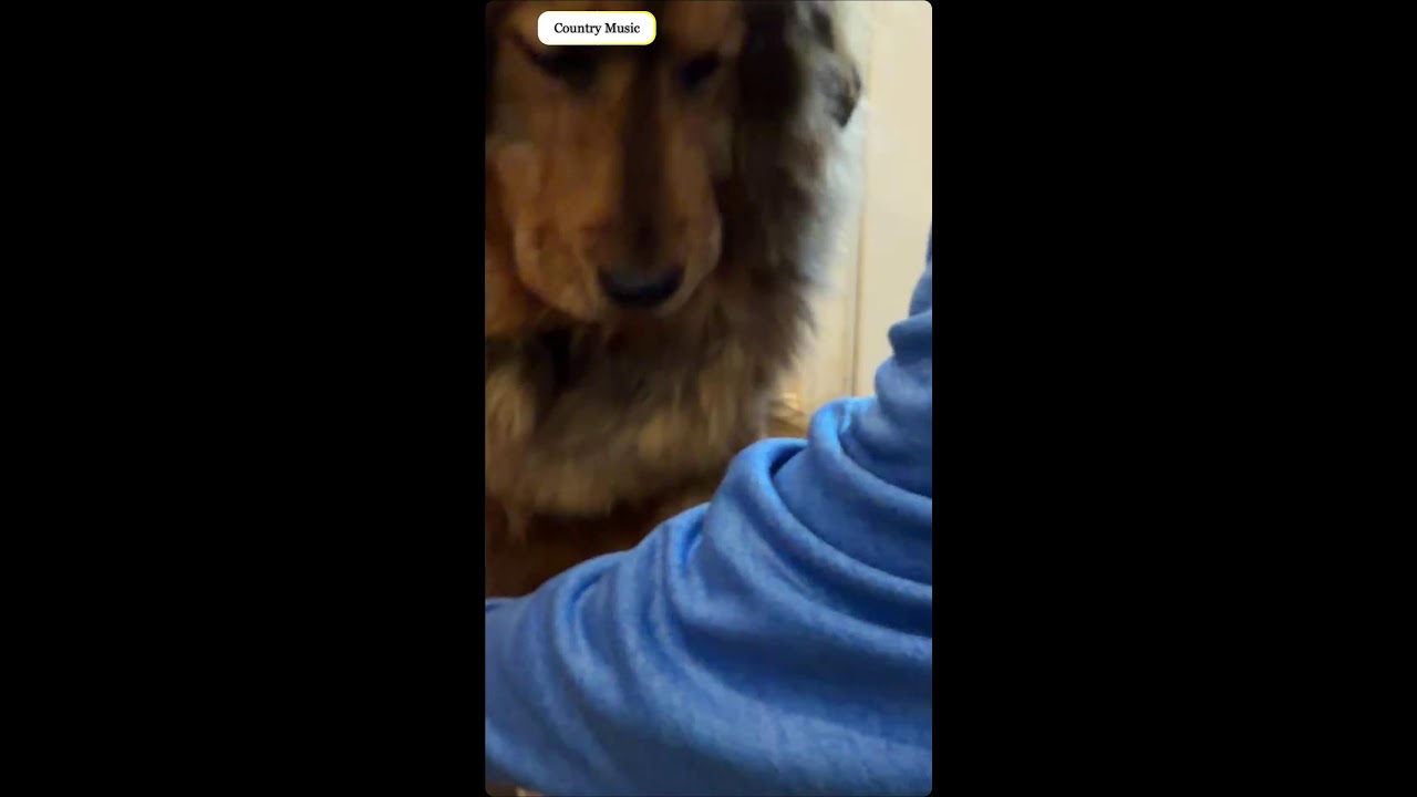Monday Music Workstream by Sleeping Dog DJ