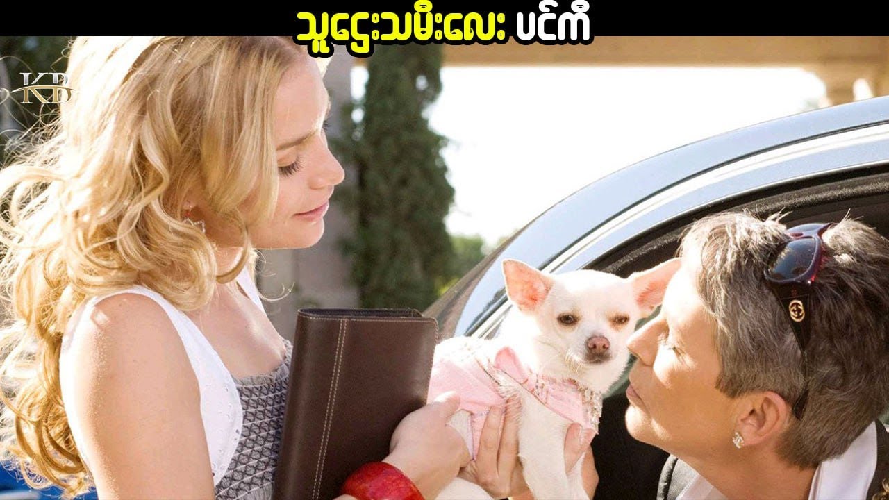 သူဌေးသမီးလေးပင်ကီBeverly Hills Chihuahua 2008