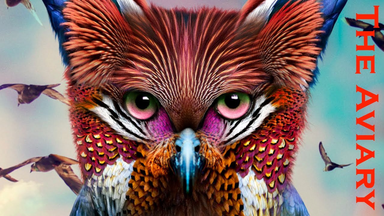 Ranking Galantis' The Aviary LP