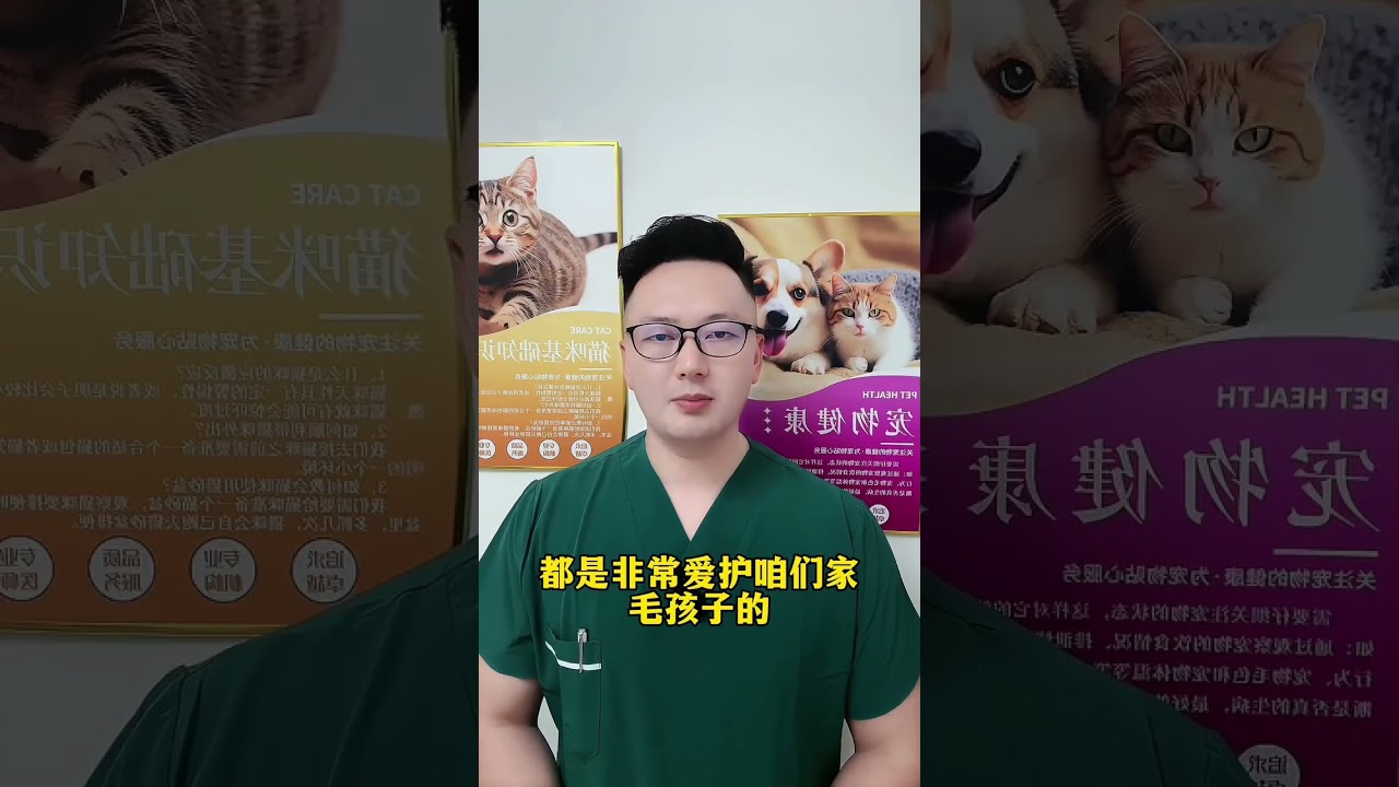 Unveiling the Secret: Why Dogs Adore Us