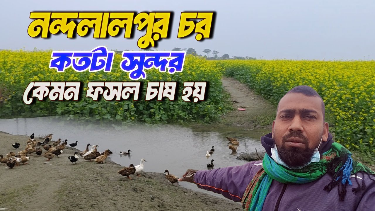 নন্দলালপুর চর কত সুন্দর । নন্দলালপুরের বর্তমান অবস্থা  । Nondolalpur Char  । Betna Agro