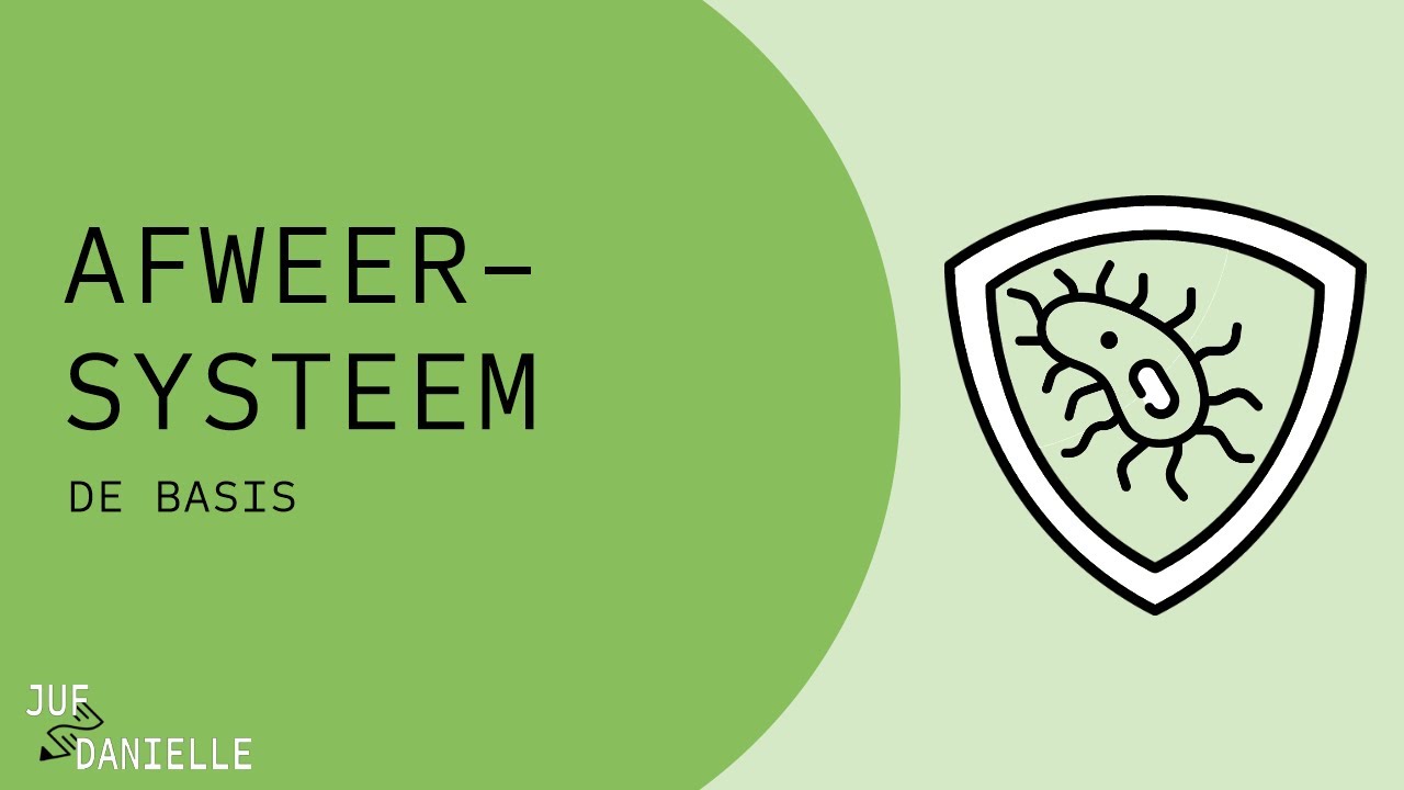 Afweersysteem: de basis