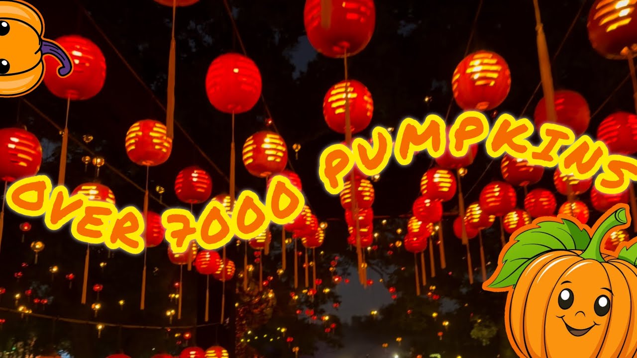 FIRE DANCERS | DRAGONS | PIRATES | OVER 7,000 CARVED PUMPKINS | BONYAYS BACKYARD 