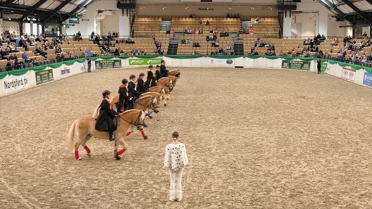 NordPferd 2024 Quadrille Haflinger Freundeskreis SH/HH