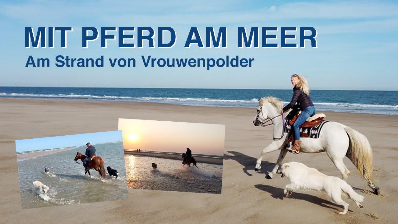 Urlaub mit Pferd am Meer | Holland 2020