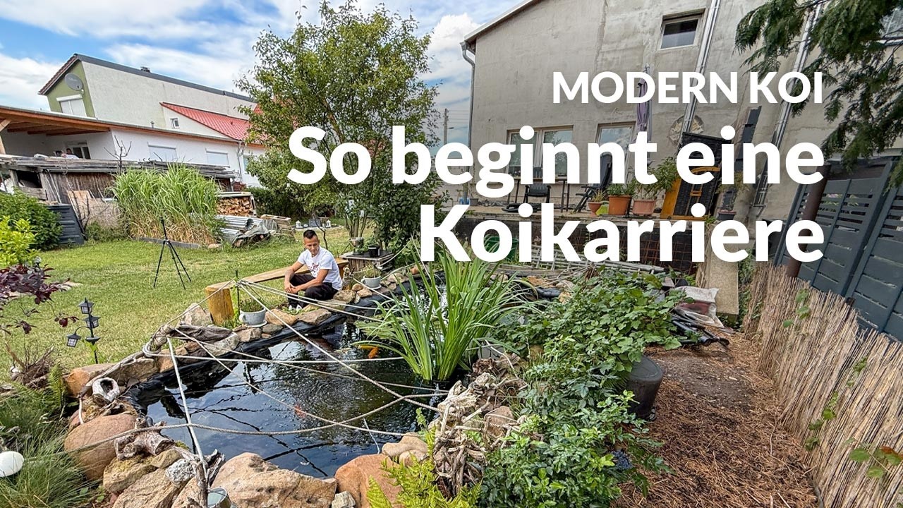 Christophers 6400l Koiteich | Modern Koi Blog #7977