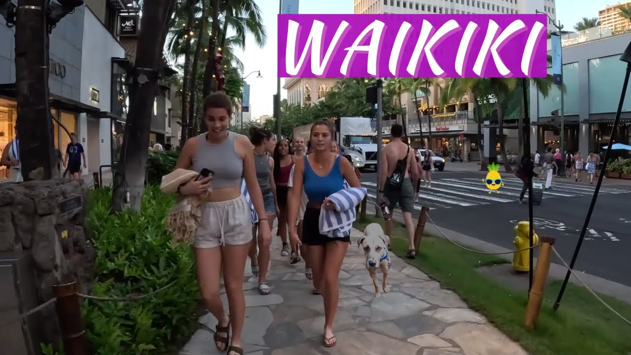 An Afternoon Walk, Waikiki Market | Hawaii