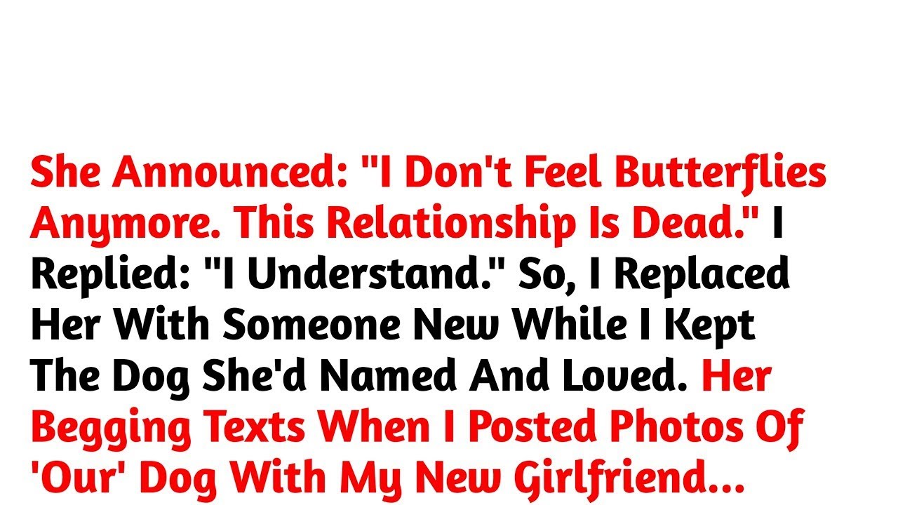 She Announced: "I Don't Feel Butterflies Anymore. This Relationship Is Dead." //Reddit Stories