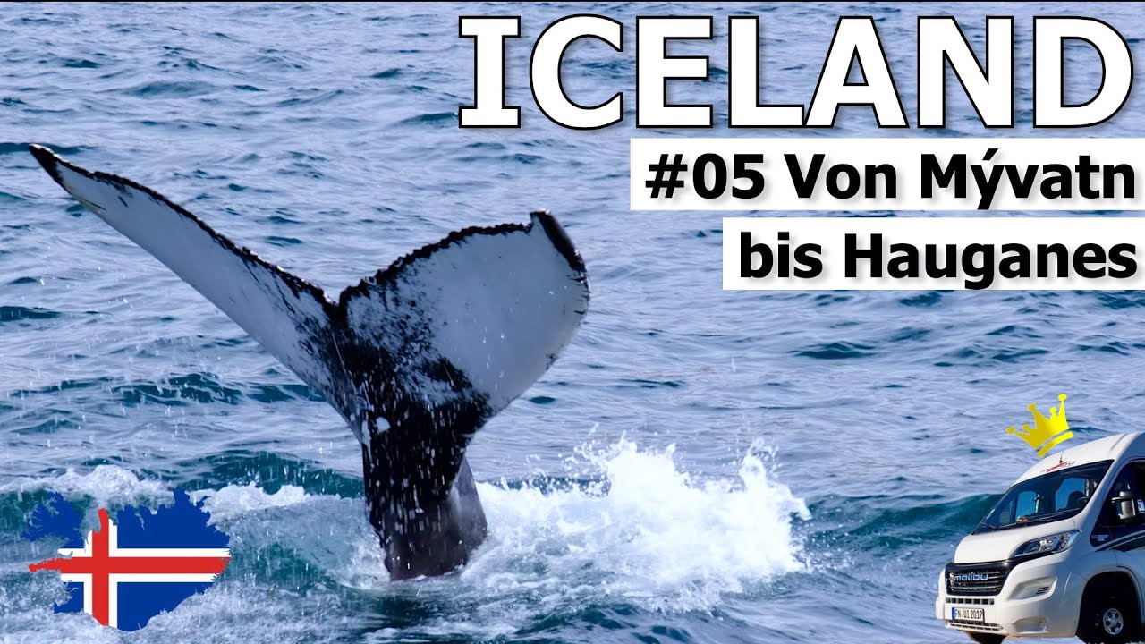 Schnee am Vulkankrater und Sonne beim Whale Watching