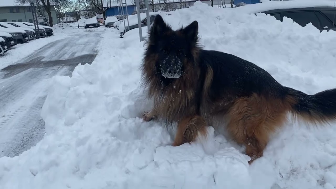 Wenig Schnee ist nicht.