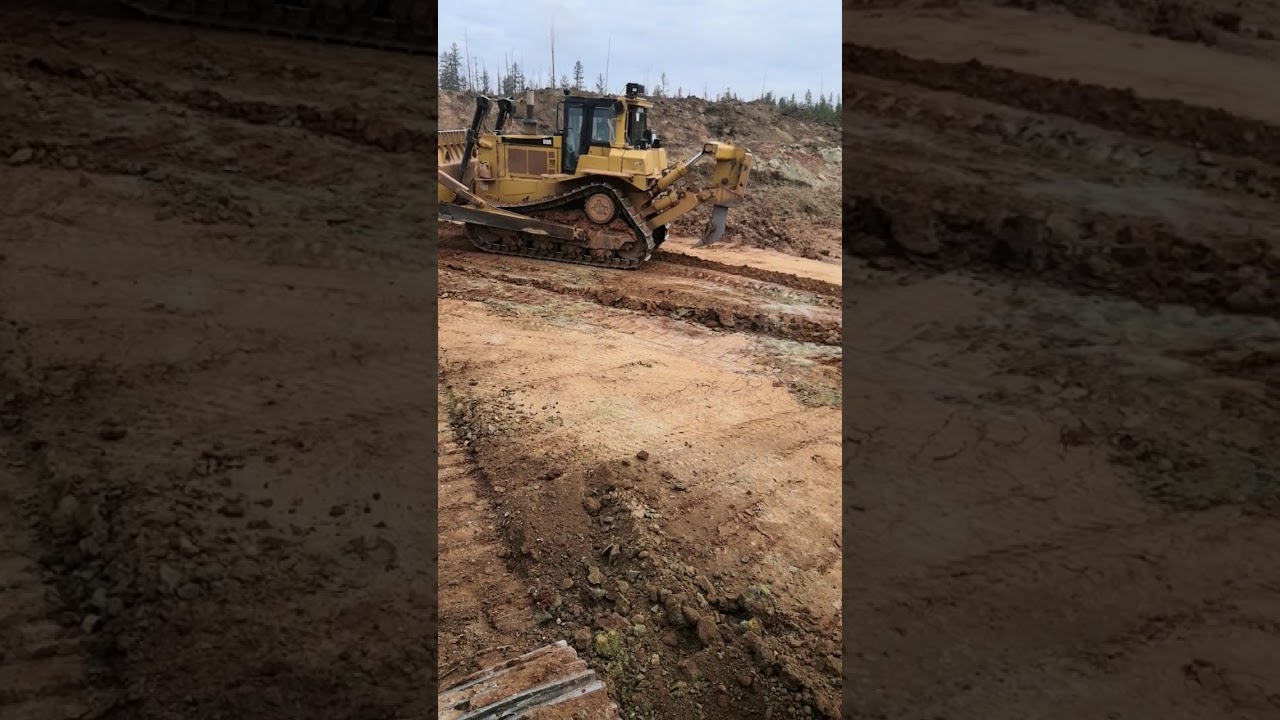 Cat D8