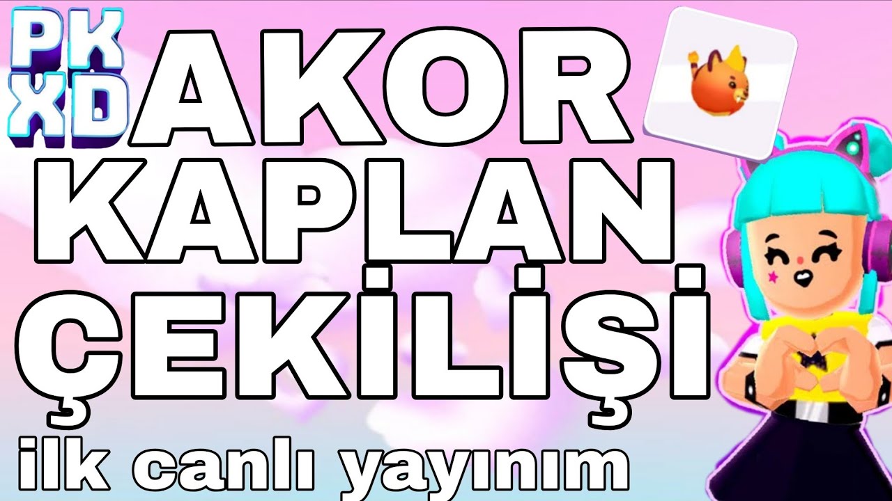 AKKOR KAPLAN ÇEKİLİŞİ VE DEDİKODU VAR KOŞŞ