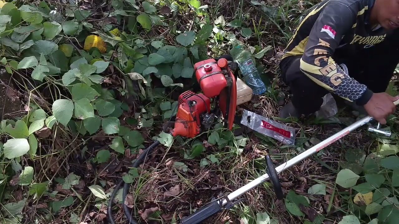 POTONG RUMPUT DI LAHAN SAWIT MENGGUNAKAN MESIN POTONG RUMPUT!! EDISI 007