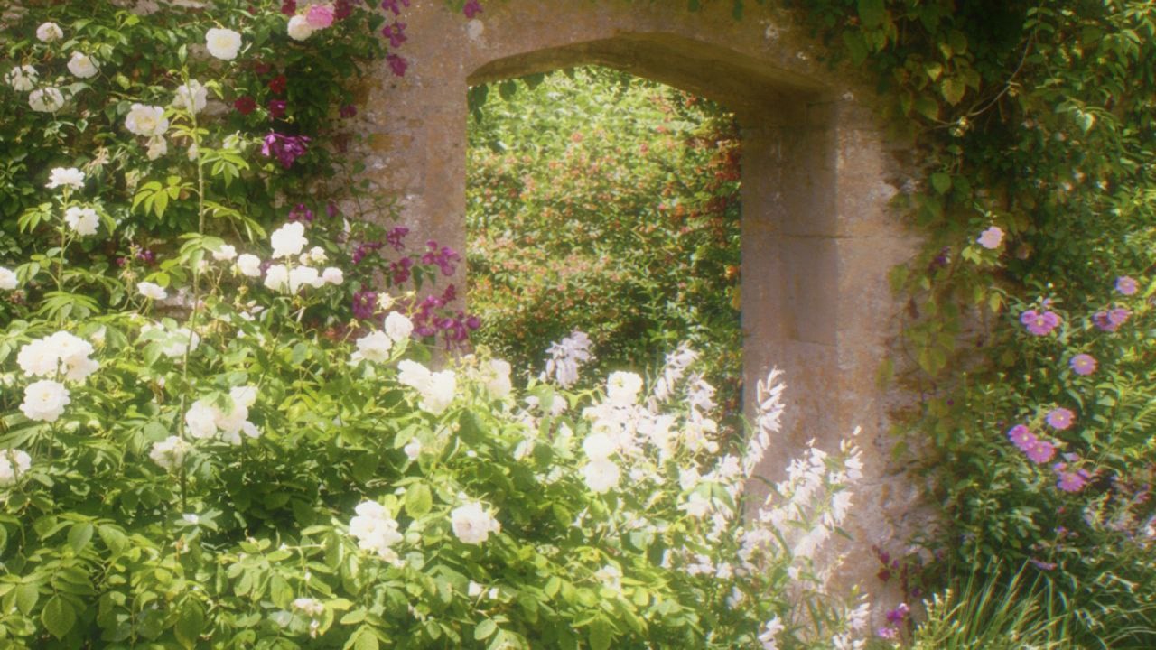 a quiet playlist for a slow and quiet morning🍃 (reading, writing & relaxing)