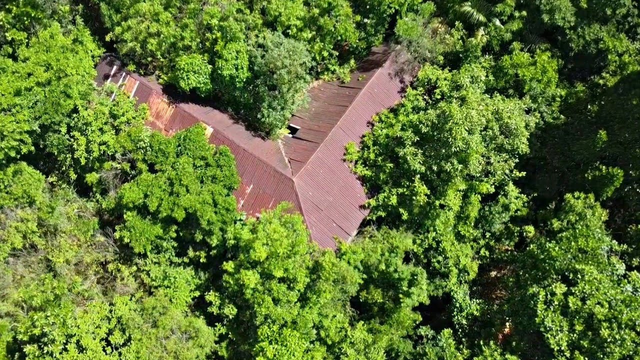 A FOTO NA PAREDE DA CASA ABANDONADA CHAMOU MUITO A ATENÇÃO