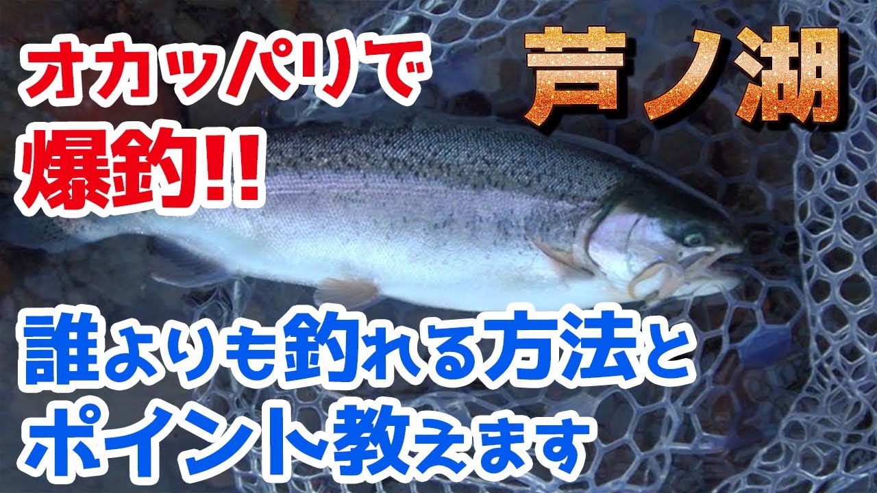 芦ノ湖でブラウントラウトを狙い撃ちしてみたら爆釣した！／HartDesign TV(ハートデザインTV) 【Vol.280】
