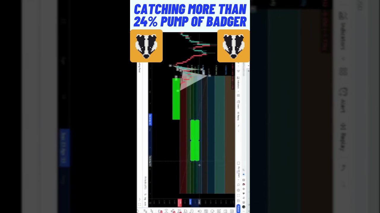 Catching More Than 24% pump of  Badger Dao