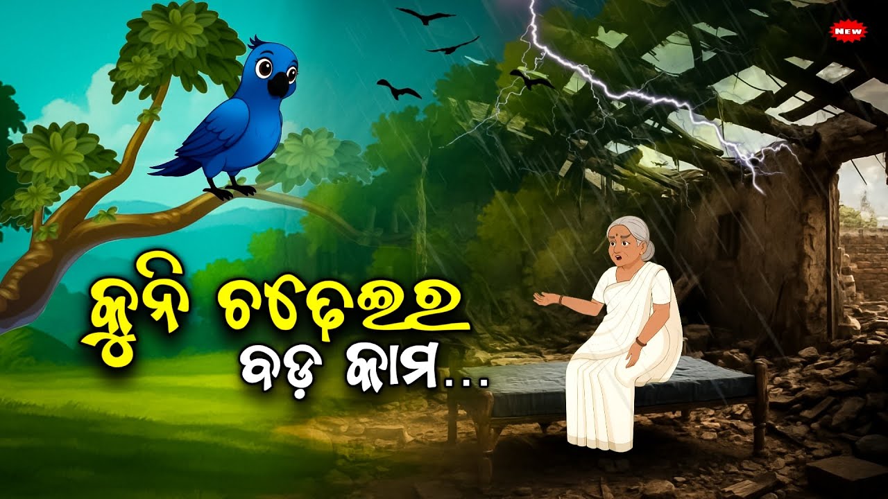 କୁନି ଚଢେଇର ବଡ଼ କାମ - Kuni chadheira bada kama / Odia moral story/ Odia Gapa/ Odia animal story/Odia 