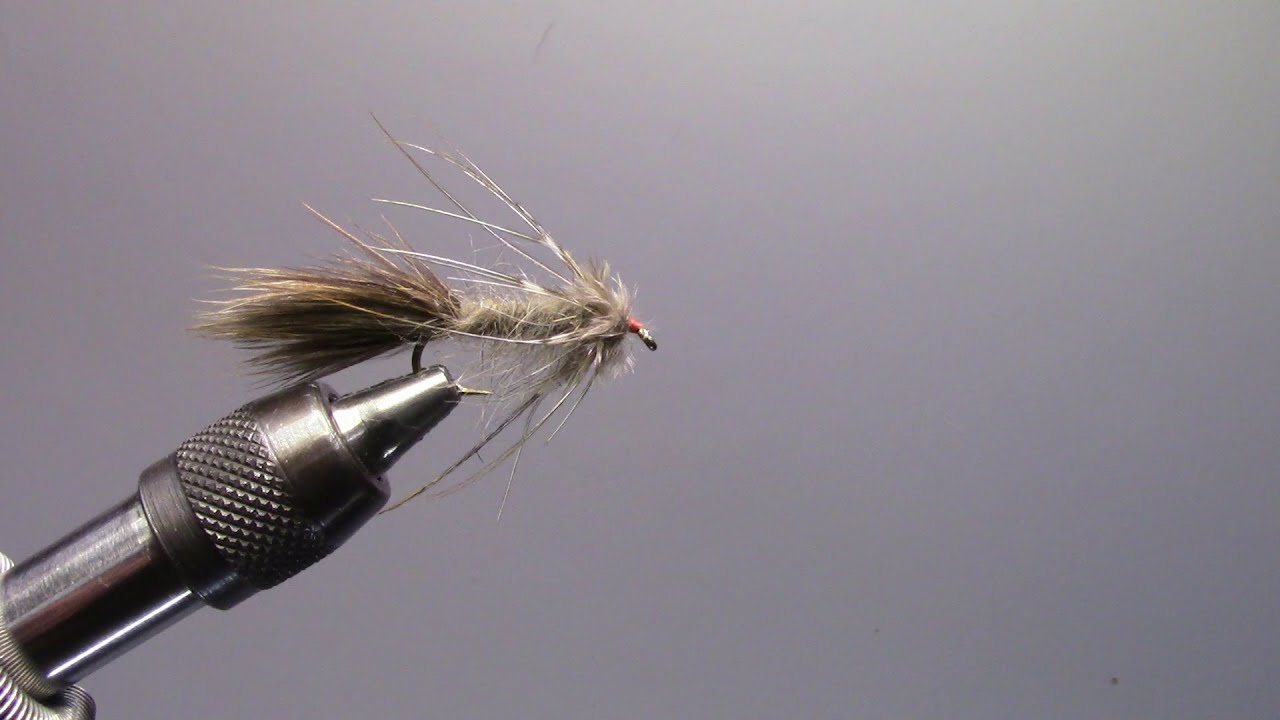 Guild 8, Stripped peacock & herl and Gartside Sparrow