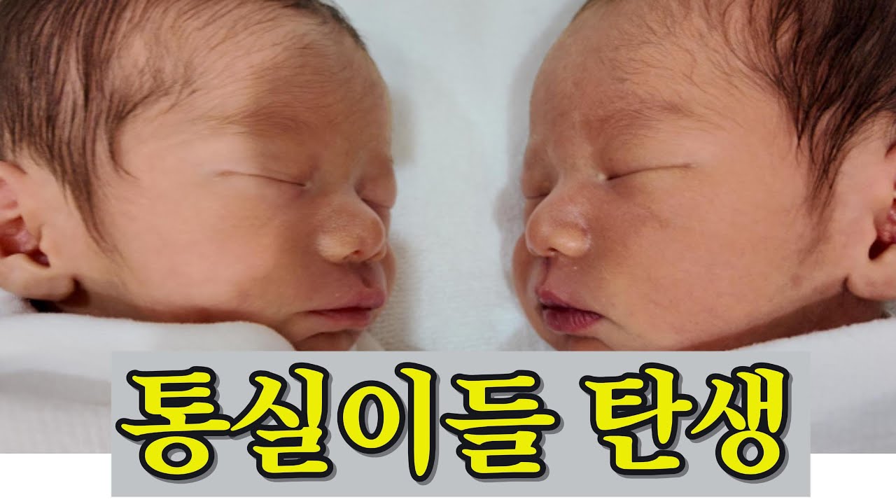 [VLOG] 쌍둥이 출산 | 제왕절개 | 이대서울병원