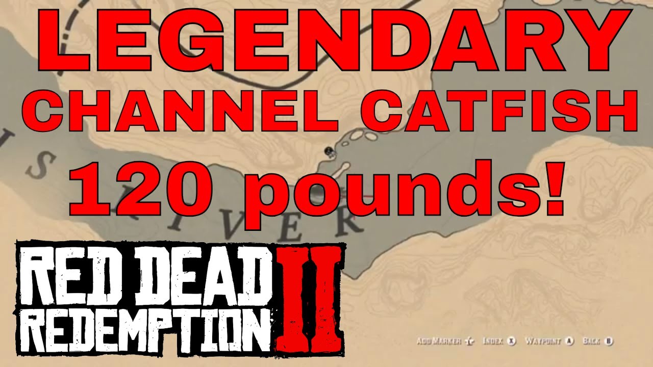 2025 UPDATE Fishing for 120lb Legendary Channel Catfish! | Red Dead Redemption 2 @bmwsxbl