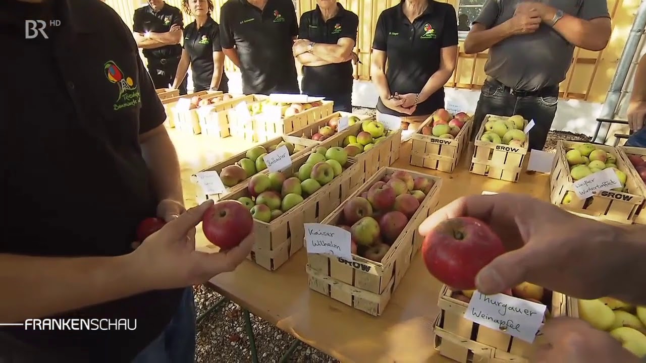Alte Obstsorten im Blick