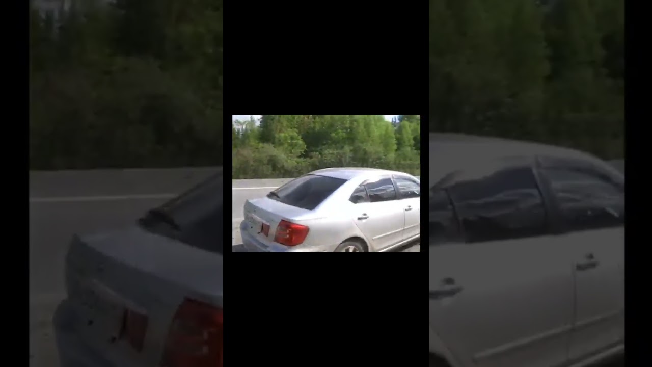 Зож!