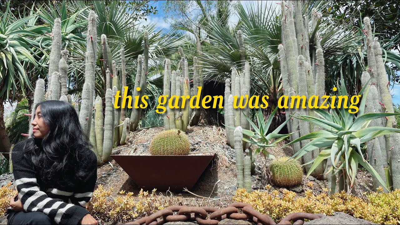 Christmas road trip, gardens galore & nursery-hopping adventures