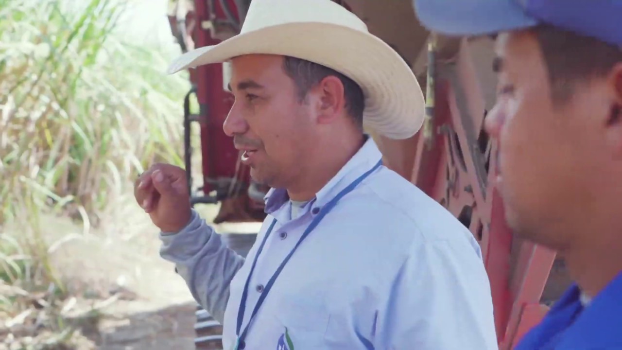 Vídeo Institucional Grupo Nova Aralco