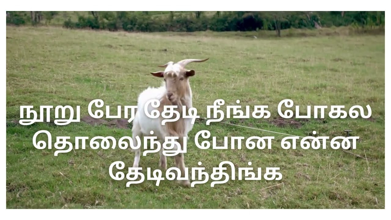 நீர் என்ன மறக்கல|Benny Joshua|Lyrics #lyricvideo #bennyjoshuasongs #mysaviour #tamillyrics #today|