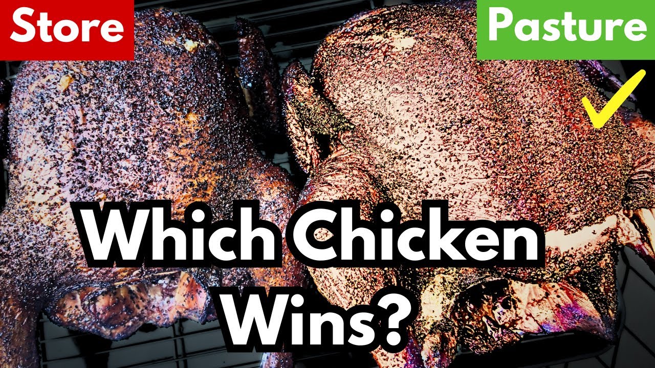 Pasture-Raised Chicken vs Store-Bought: Worth It?