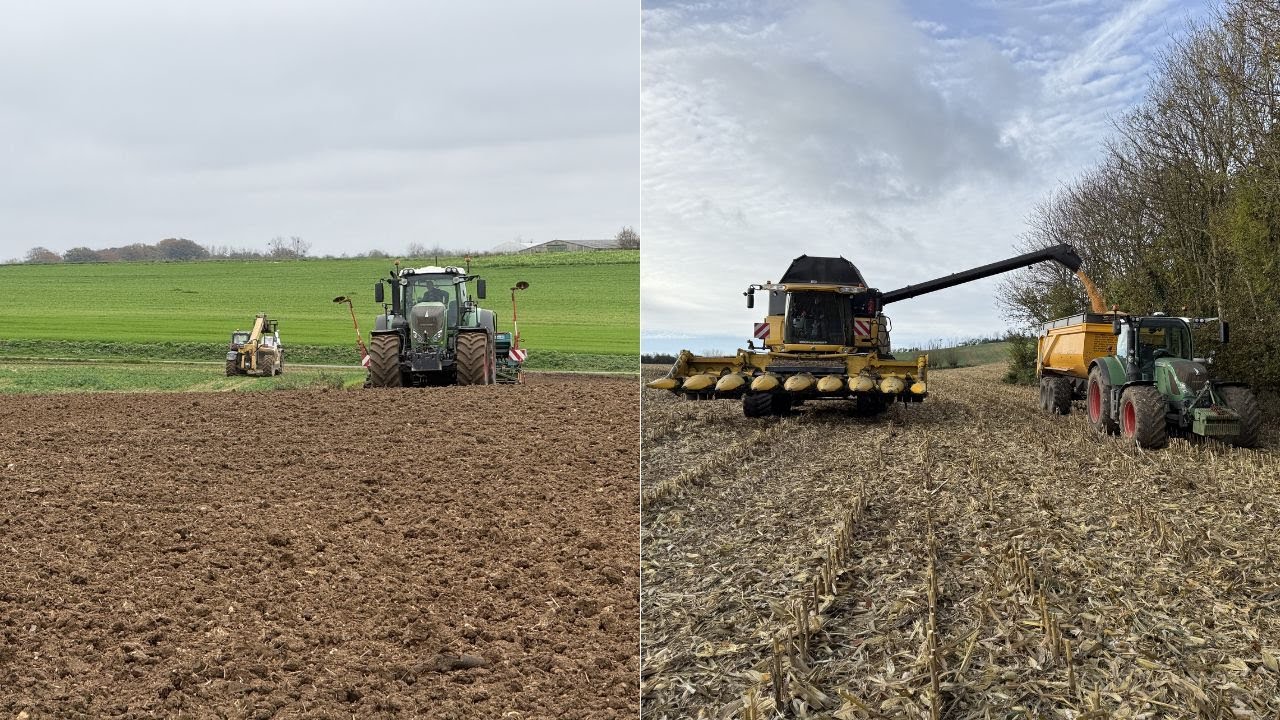 🌾SEMIS DE BLE ET MOISSON DE MAÏS 🌾