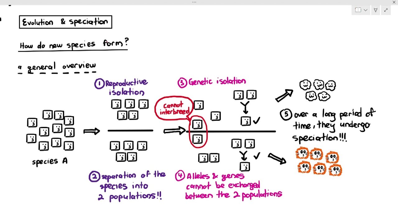 17-13 Introduction to Species & Speciation (Cambridge AS A Level Biology, 9700)