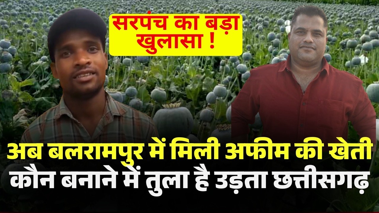 Balrampur में पकड़ी गई अफीम की अवैध खेती। पहले छत्तीसगढ़ के Durg में BJP नेता हो चुका है गिरफ्तार