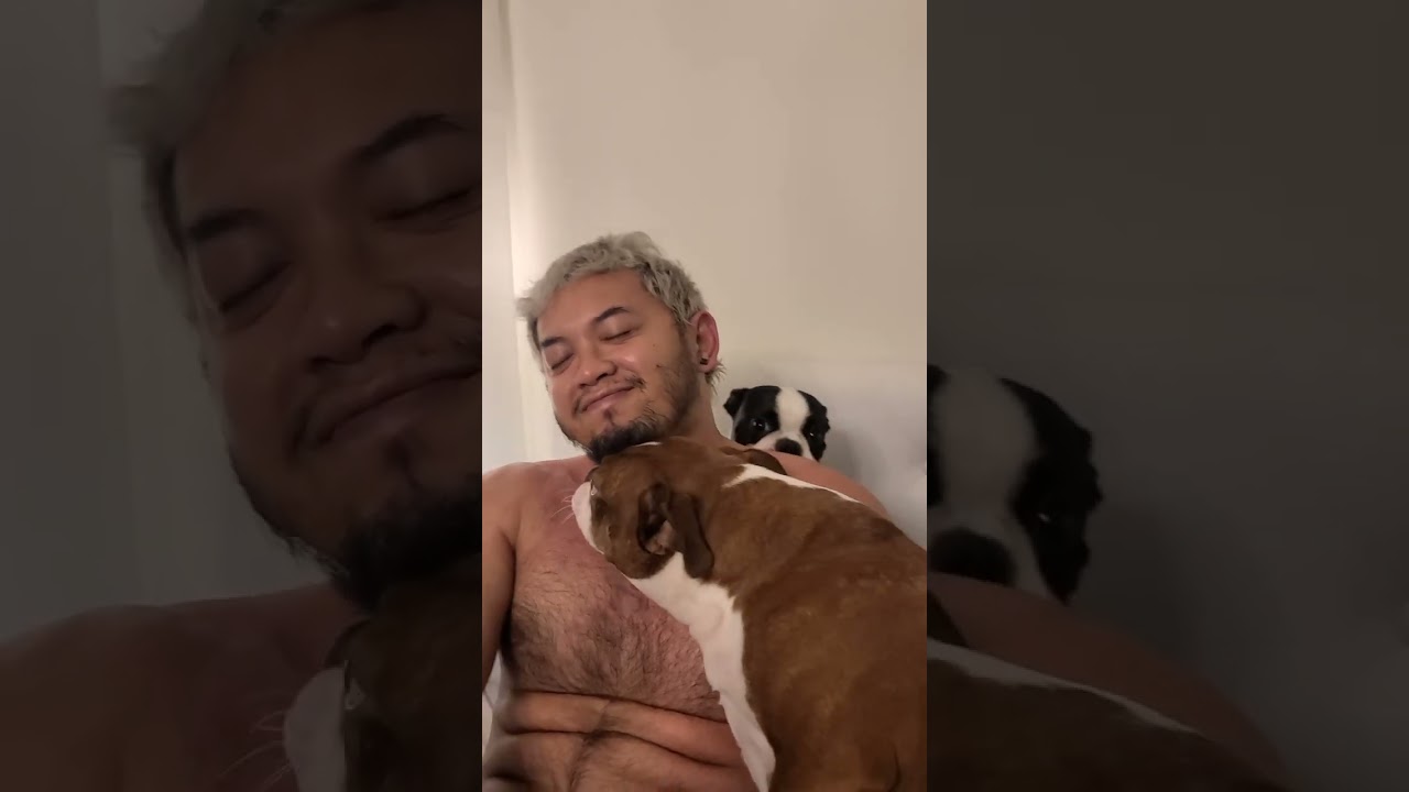 ASMR 10 Minutes Of Dogs Licking | RELAXATION