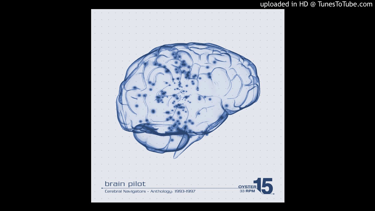 B3. Brain Pilot - Serotonin Flow (OYSTER15)