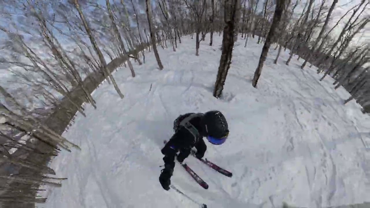 Tree Skiing at Rusutsu Resort_2026.02.22