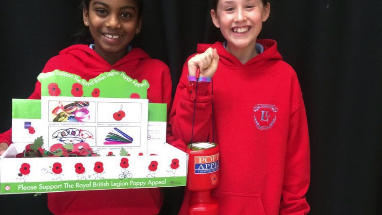 Llandough Primary   Autumn B 17