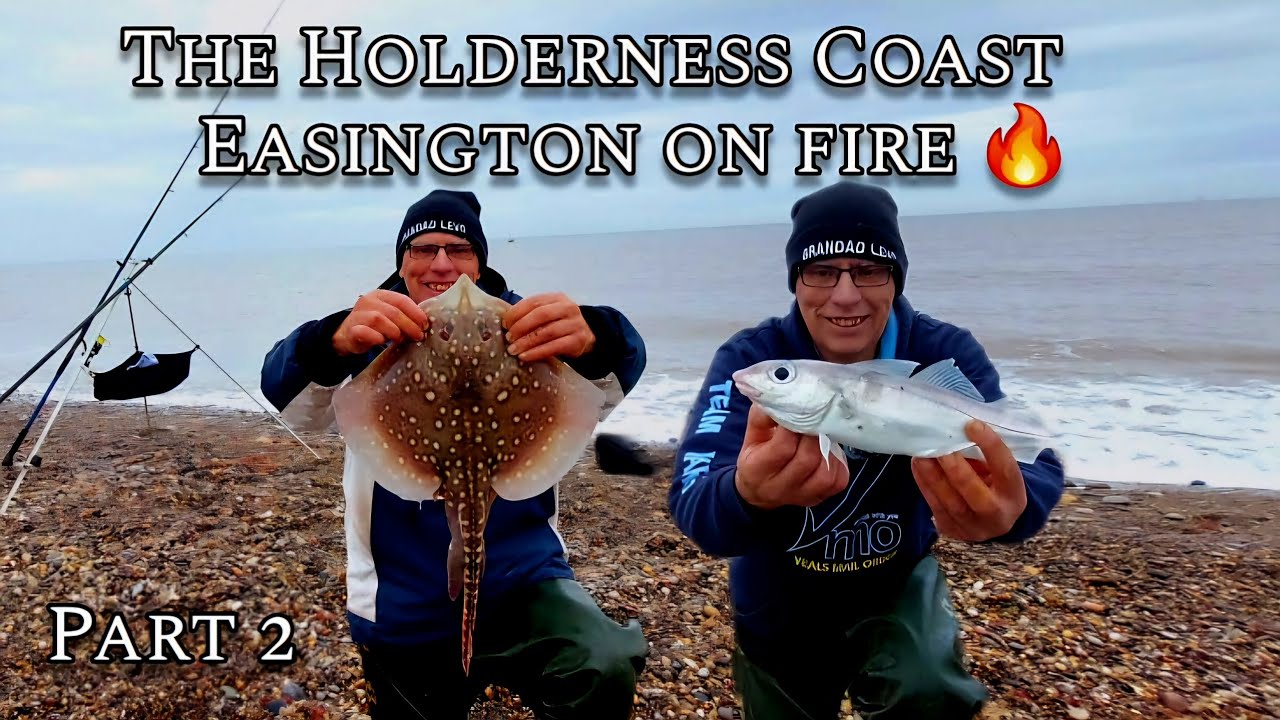 Sea Fishing UK 2024 | Cod Fishing and a few Species for The New Series what a Day 🎣👍