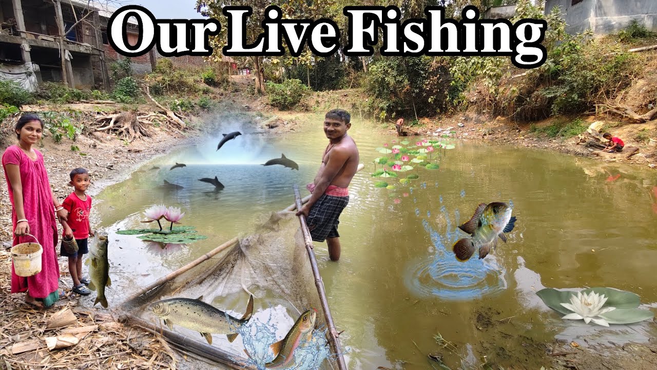 Fishing In Our Pond 🐟 | দাদা বৌদি মিলে পুকুর থেকে মাছ ধরলো 👆 #Vlog 175 #fishing #mrdebvlogs #family 
