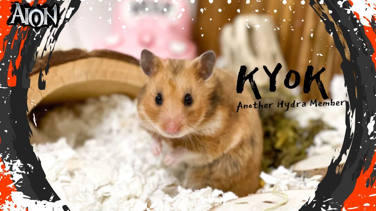Aion 8.4 | Hunting All Hydra Members| Kyok The RAT