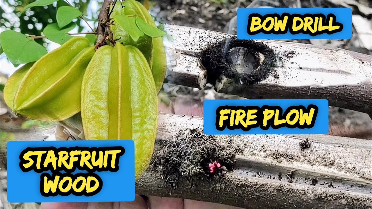 Разведите огонь из твердой древесины методом пожарного плуга и луковой дрели.
