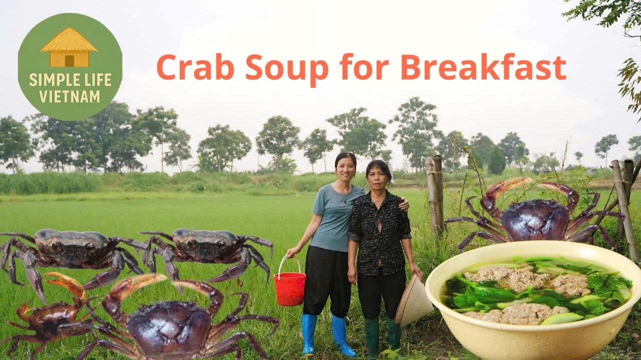 how we catch field crabs and cook crab soup | vietnamese rural breakfast